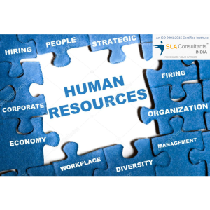 HR Course in Delhi with Free HR Payroll & Salary Processing Practical Classes, 100% Job, SLA Institute,